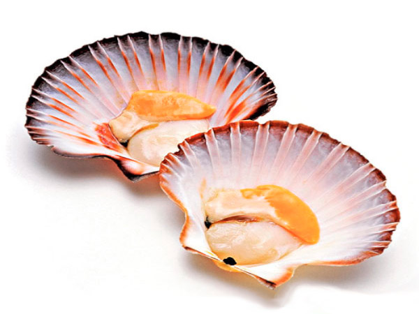 Как готовить гребешки в раковине с икрой? Как готовить гребешки в раковине с икрой?