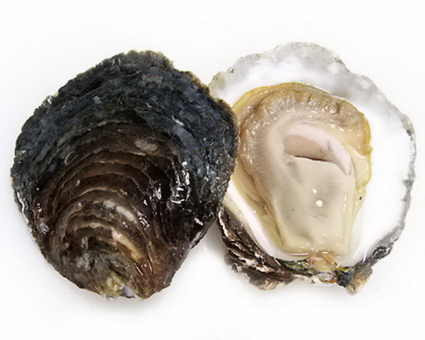 Устрицы Белон