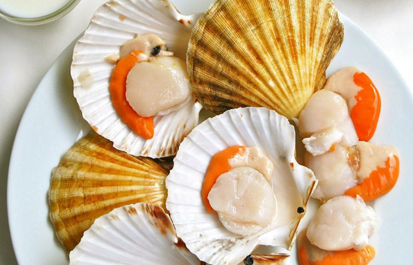 Какого цвета морской гребешок? Какого цвета морской гребешок?