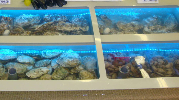 Почему устрицы из аквариума не такие вкусные? Почему устрицы из аквариума не такие вкусные?