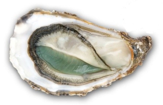 Устрицы Гравет