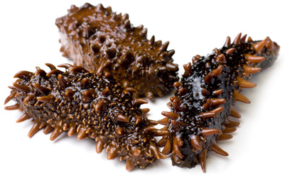 Как едят трепанг и что это такое? Как едят трепанг и что это такое?