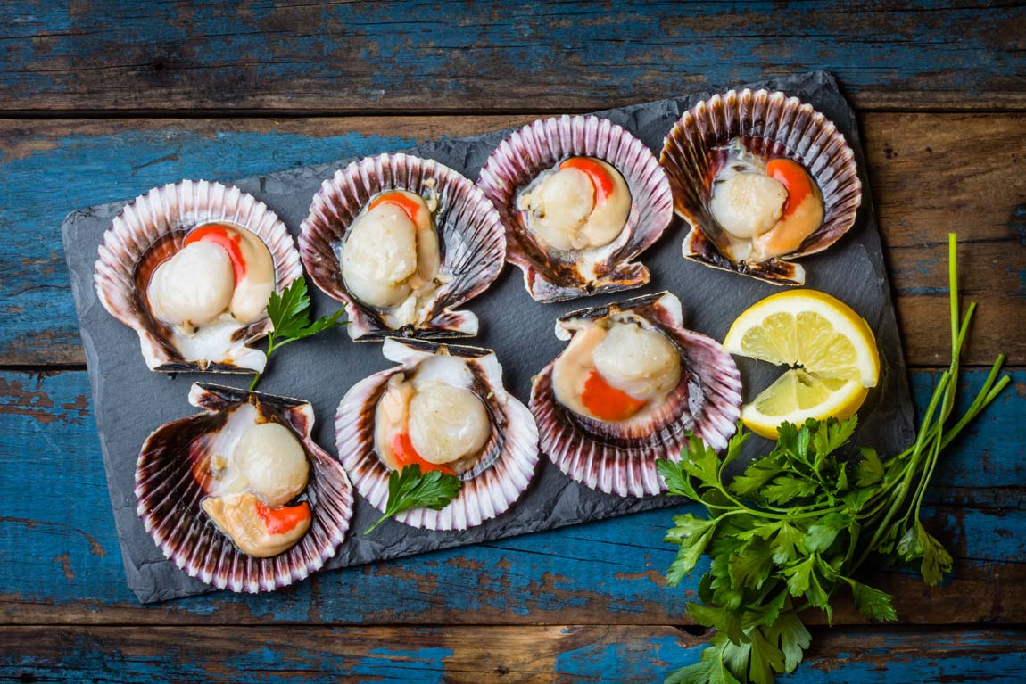 Морской Гребешок подача