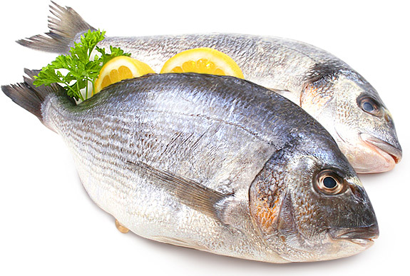 Что лучше - культивированная или дикая рыба? Что лучше - культивированная или дикая рыба?