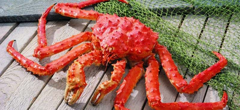 Как хранить живых крабов? Как хранить живых крабов?