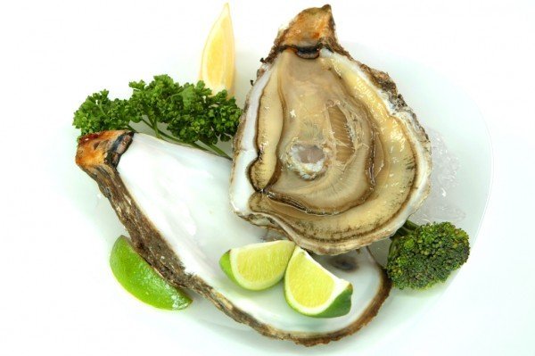 Как определить свежесть устриц и понять что устрица живая? Как определить свежесть устриц и понять что устрица живая?