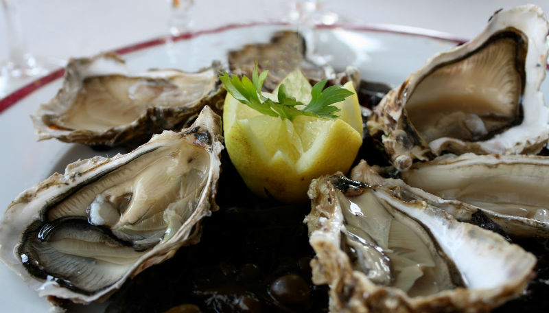 Виды устриц