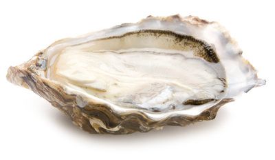 Устрицы Марен Олерон