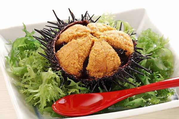 Как употреблять икру морского ежа? Как употреблять икру морского ежа?