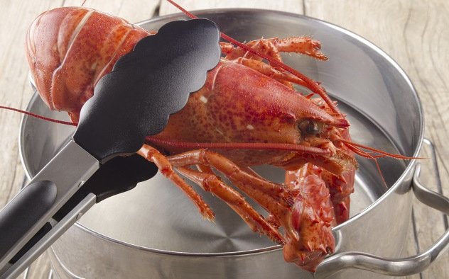 Как приготовить живых омаров и как их хранить? Как приготовить живых омаров и как их хранить?