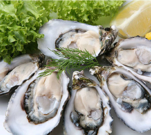 Виды устриц