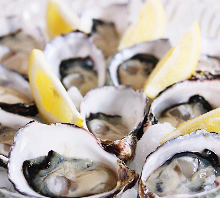 От устриц до рапан - мидии