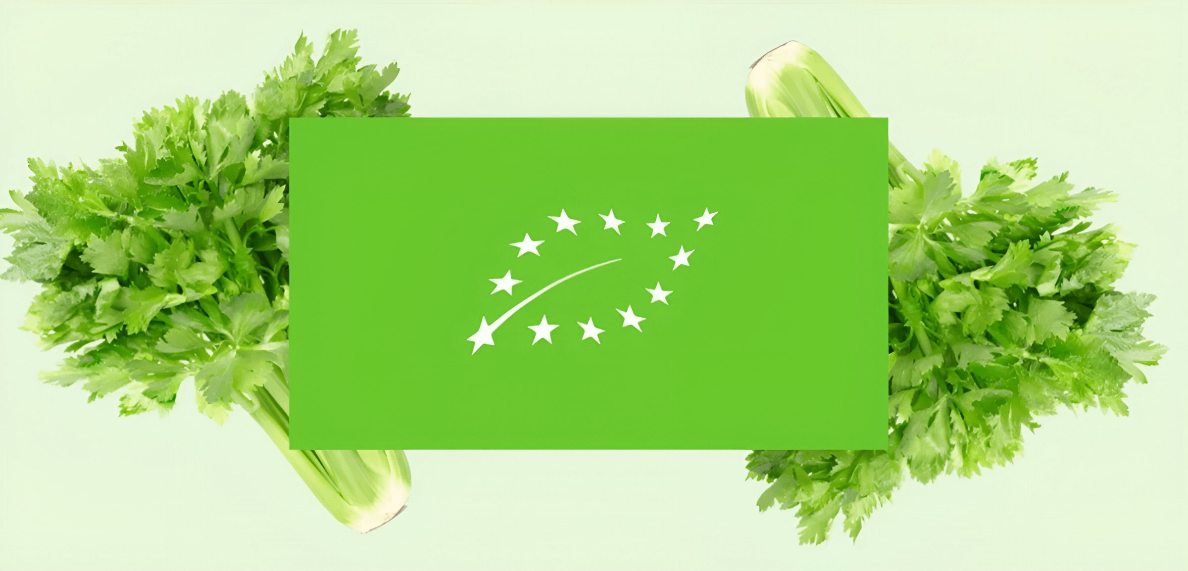 Что означает этот логотип на упаковке продуктов?