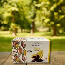 Дольки лимона в шоколаде