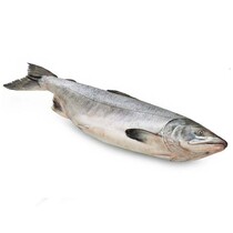 Северная якутская рыба Нельма свежемороженая