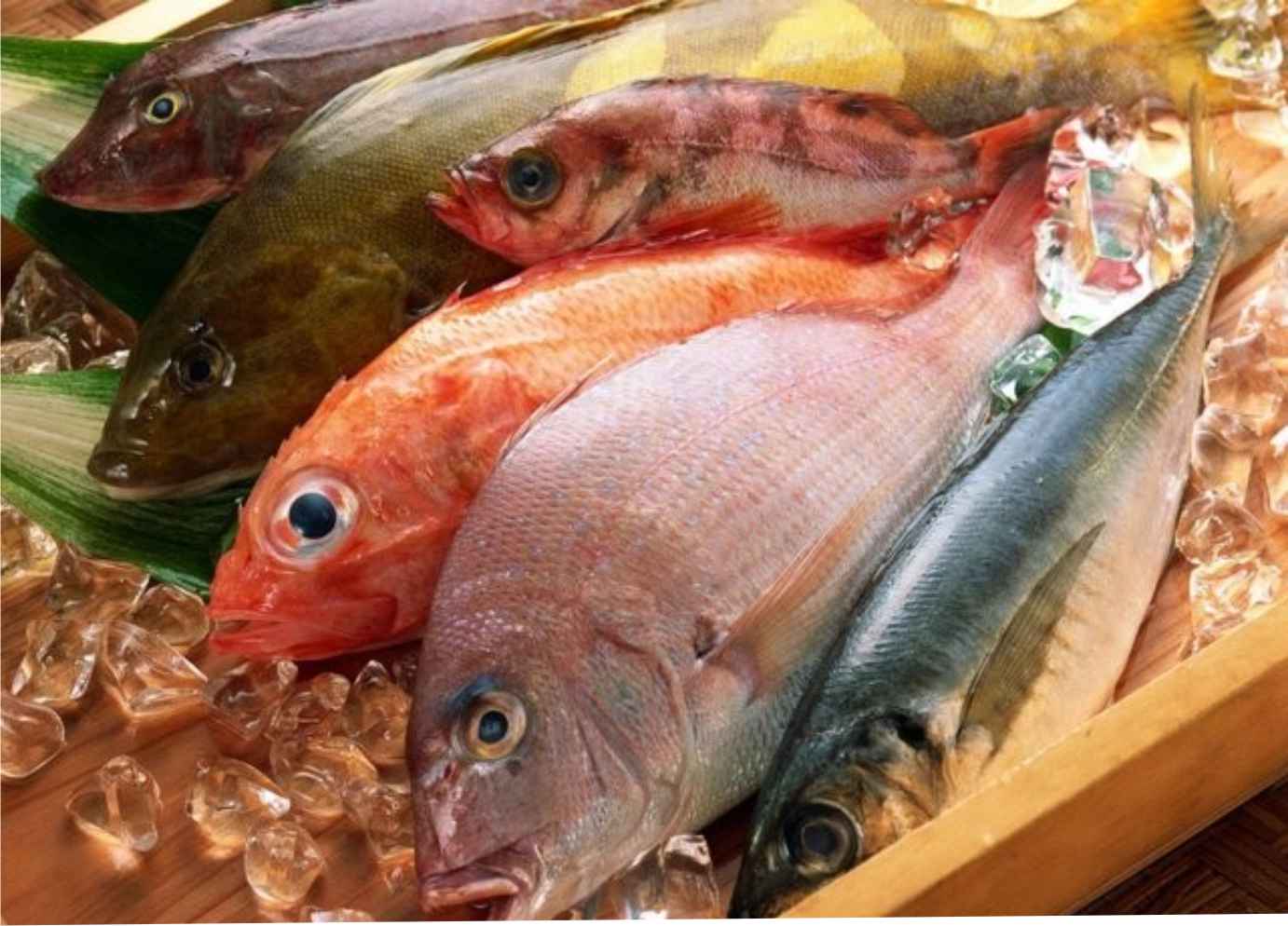 Охлажденная рыба из Индонезии на "Мечта Гурмана"